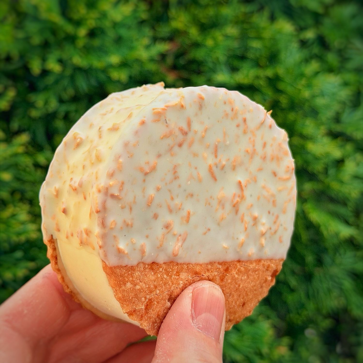 “COCONUT PINEAPPLE” ice cream sandwich