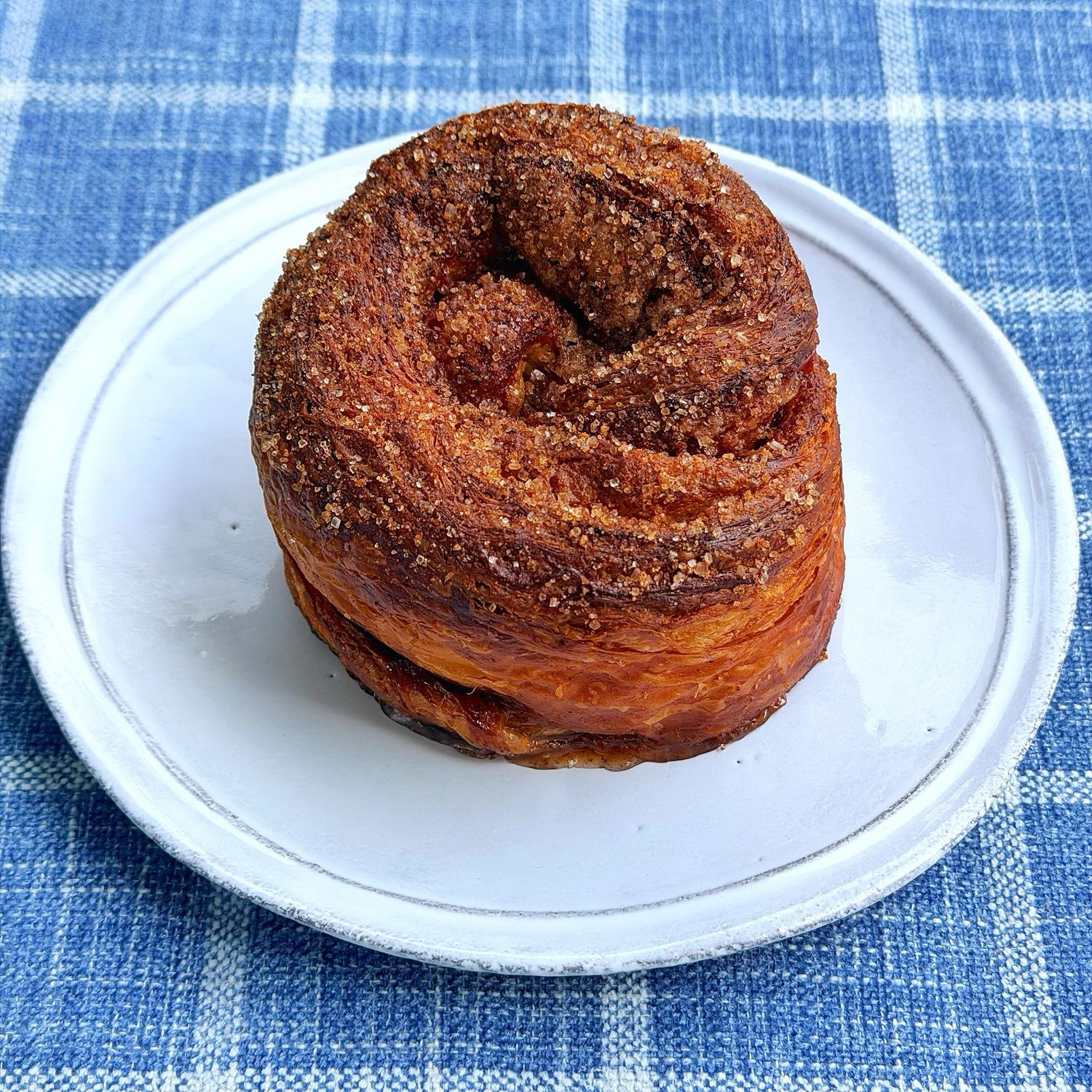 AM morning bun