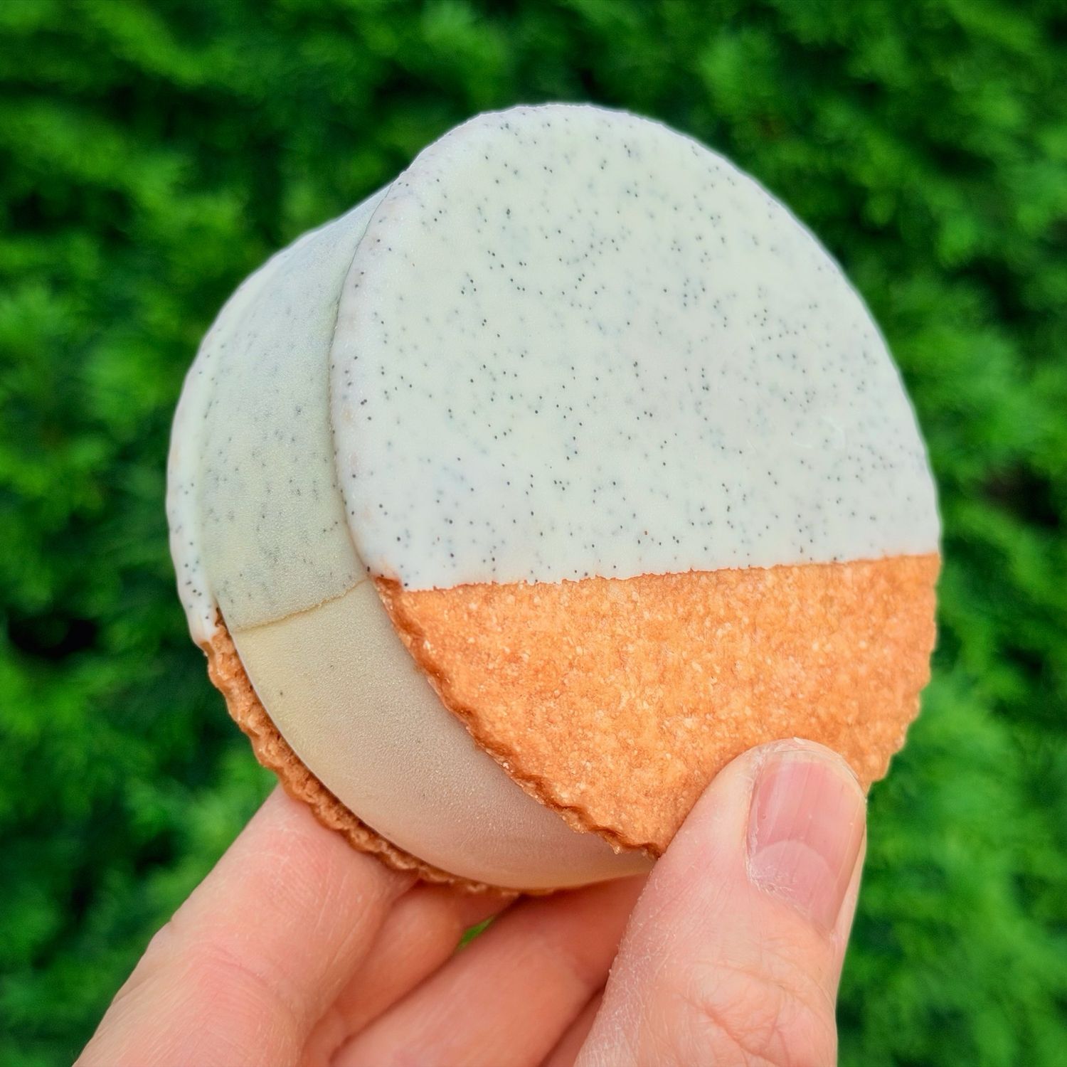 “super vanilla” ice cream sandwich