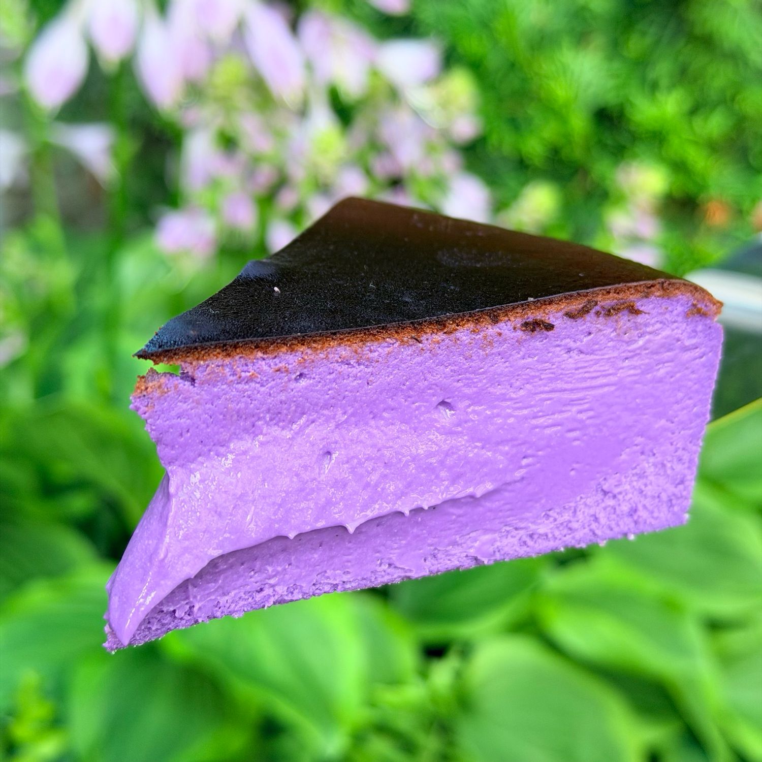 ube basque cheesecake, 7”