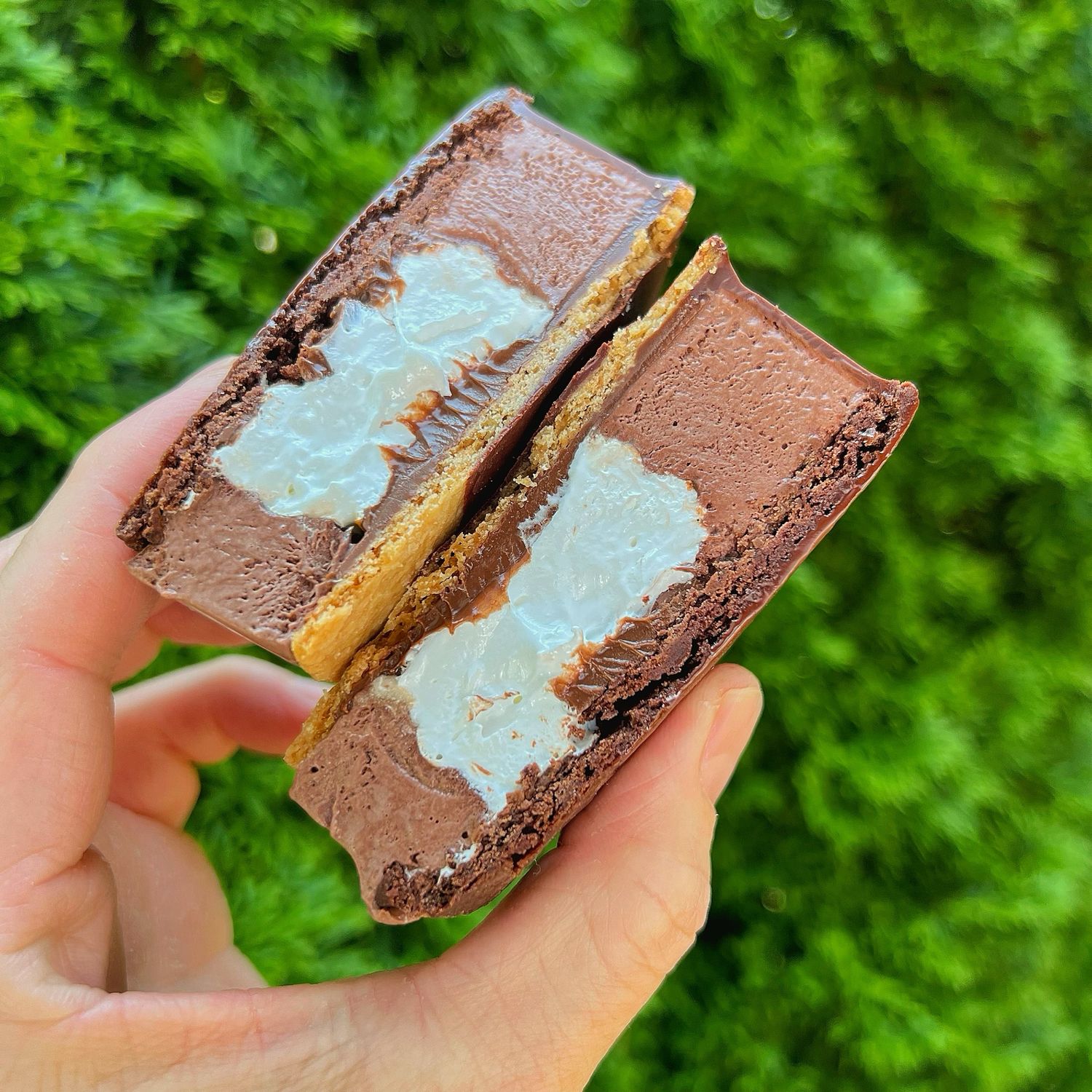 “s’mores” ice cream sandwich