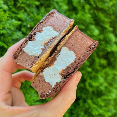 “s’mores” ice cream sandwich