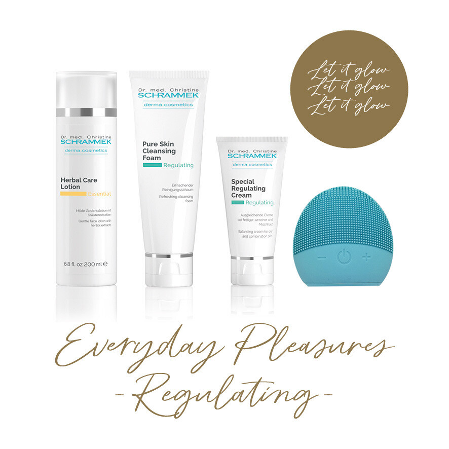 Everyday Pleasures - Regulating Everyday Pleasures - Regulating