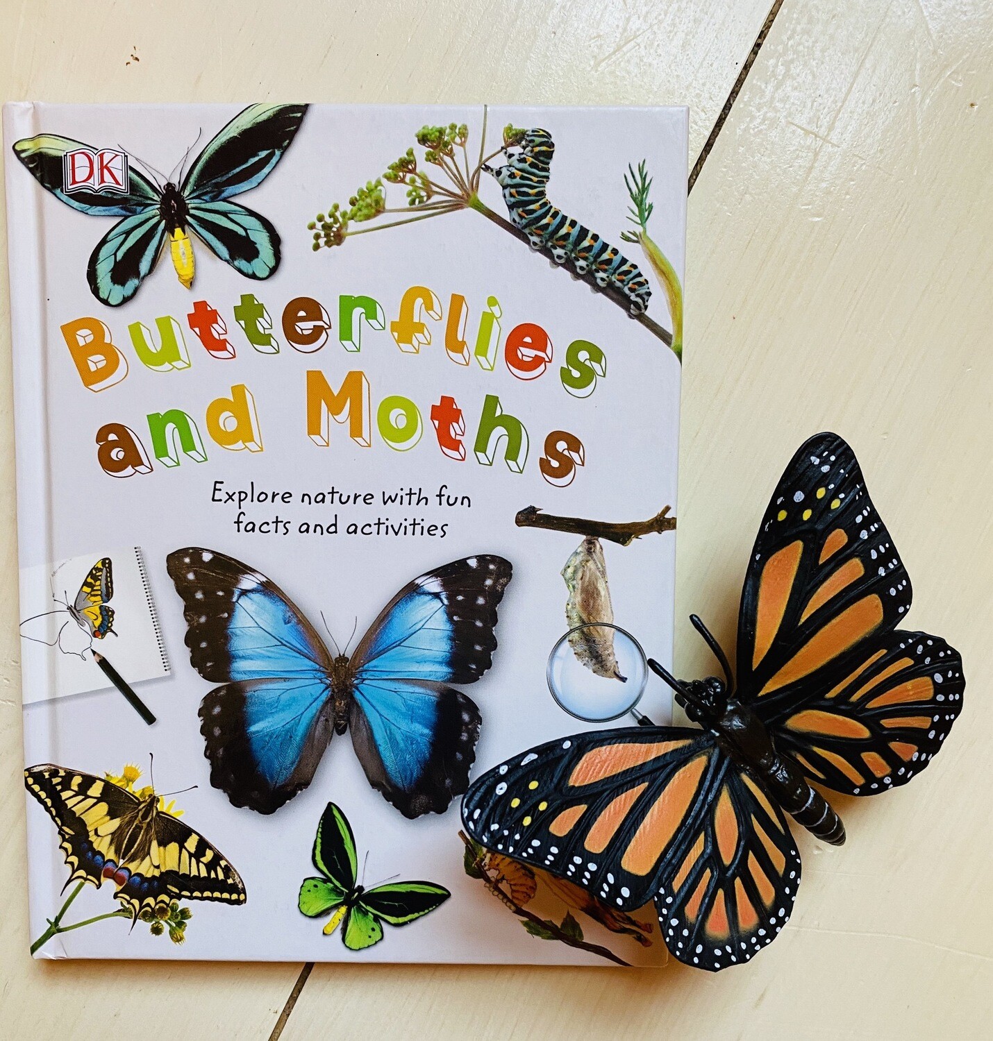 Butterflies + Moths