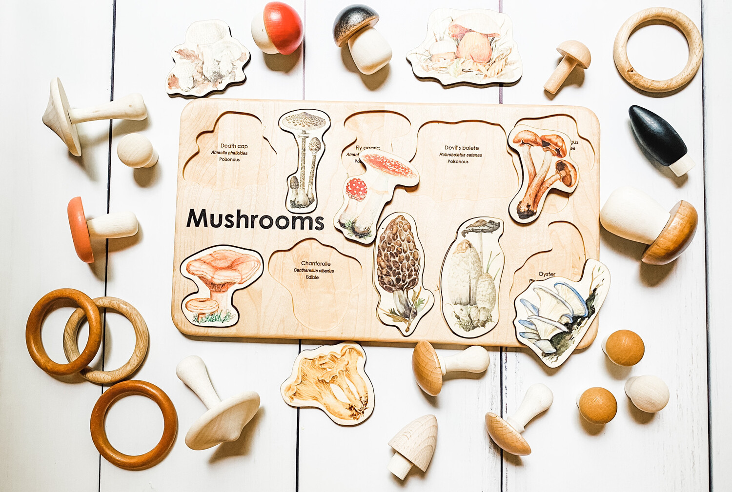 Montessori Mushroom Puzzle