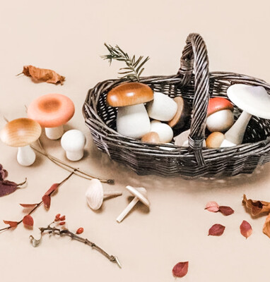 Forest Mushroom Forager Basket