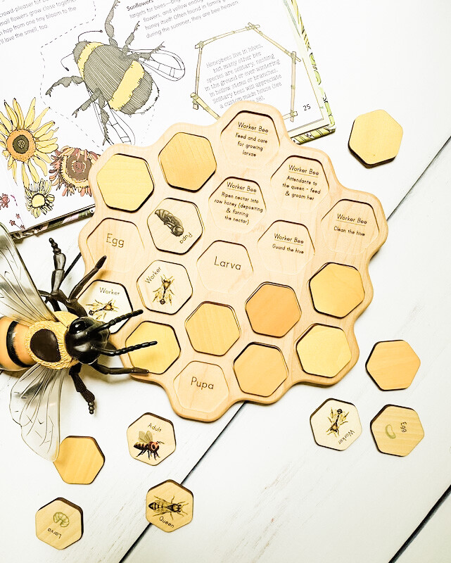 Montessori Honeybee Honeycomb Puzzle