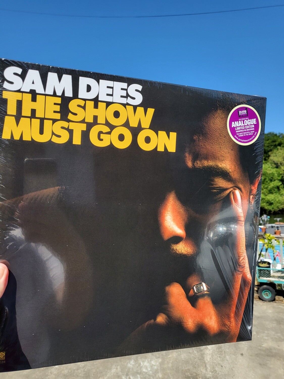 米7” Sam Dees The Show Must Go On / Child Of The Streets 453243 Atlantic /00080 The Show Must Go On - Album by Sam Dees | Spotify