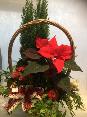 Jouluasetelma sankakorissa