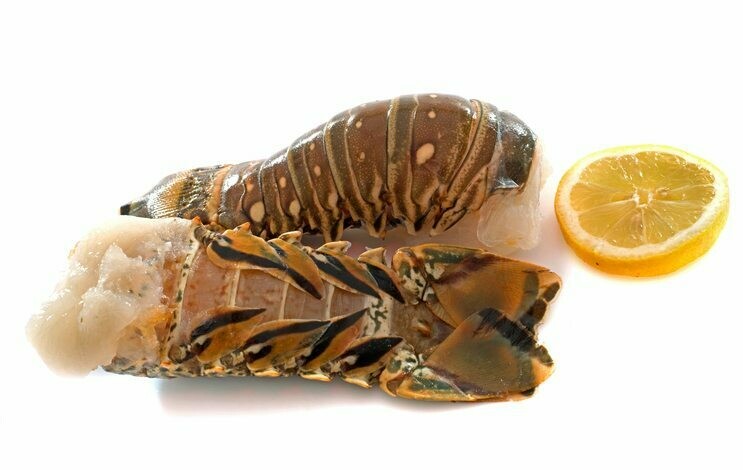 Brazilian lobster tail 巴西龙虾尾/野生 7oz/条