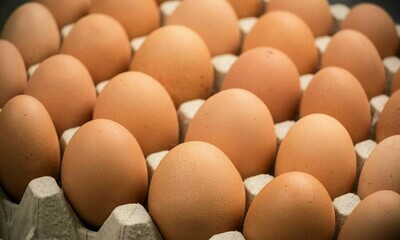 Brown Eggs 黄蛋 一层 30只