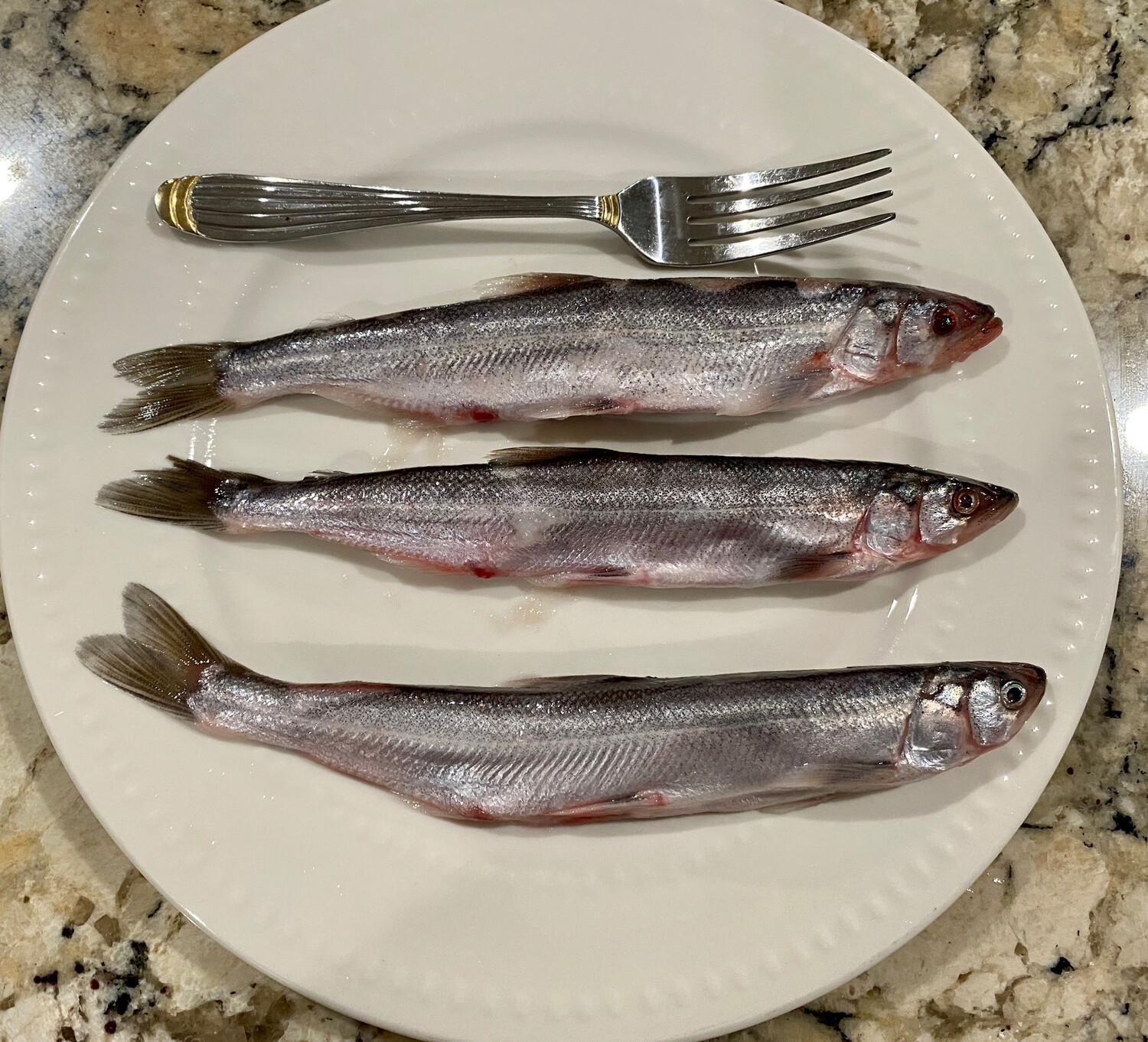 Alaska Wild Caught Premium Grade Shishamo Capelin Fish 2lbs 阿拉斯加精选特大野生多春鱼 2磅 