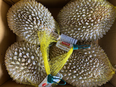 Frozen Monthong Durian 佛祖泰国金枕头榴莲 4-7磅一个  大特价 $2.99/磅 不包括送货金额内