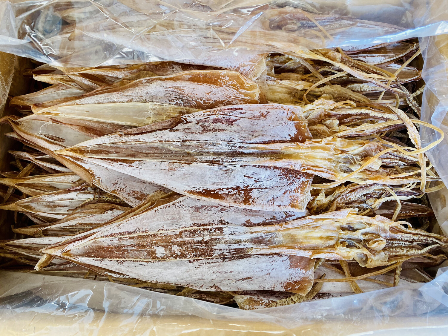 煲汤鲜甜可口！Dried Squid 1lb 干鱿鱼 9A / 特级