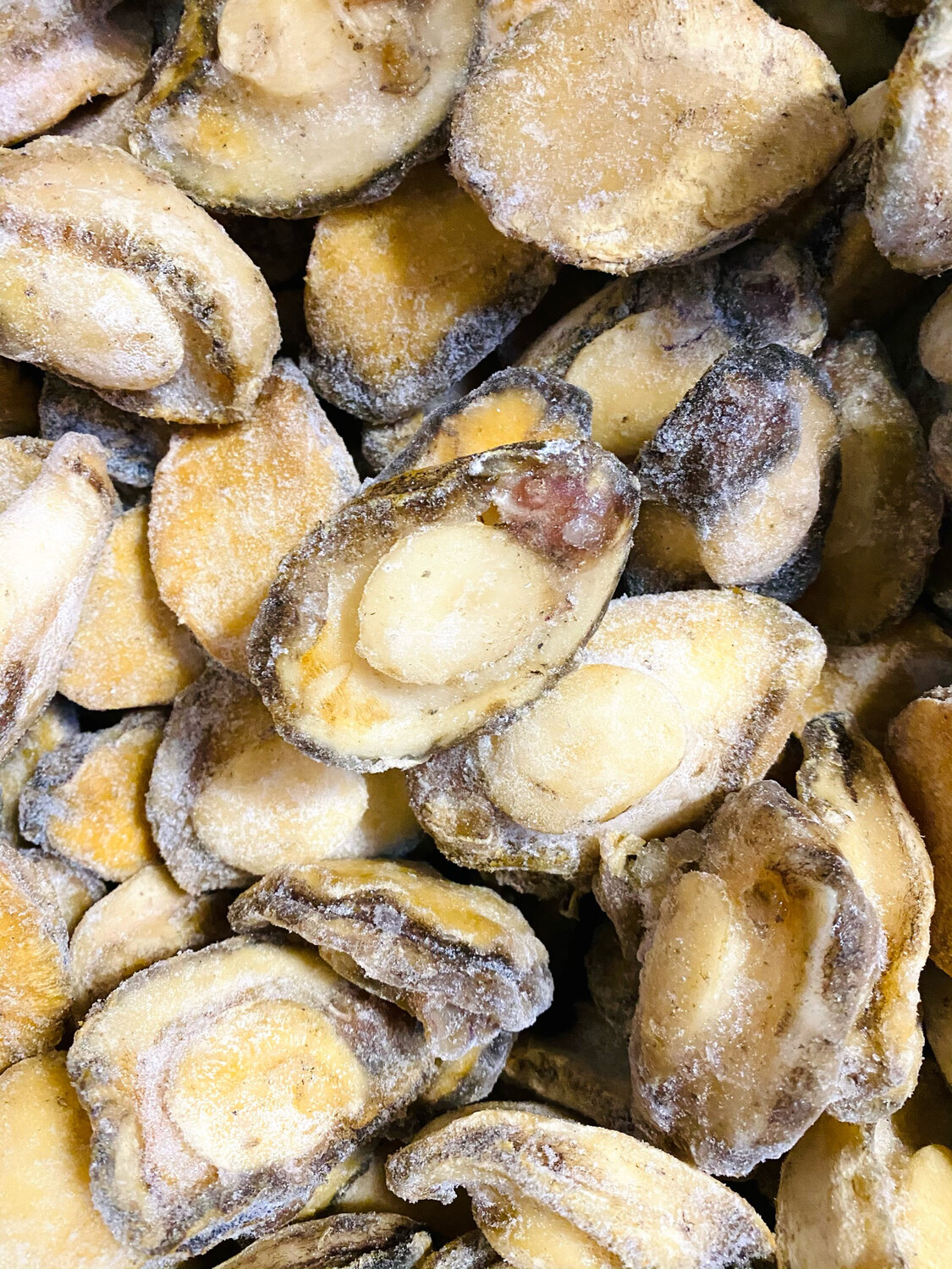 Frozen Mexican Abalone 冷冻野生墨西哥黄油鲍鱼 10-12只 1磅