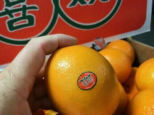 华人最爱 红盒DH Orange 双喜橙 Size 56粒 $1.49/磅