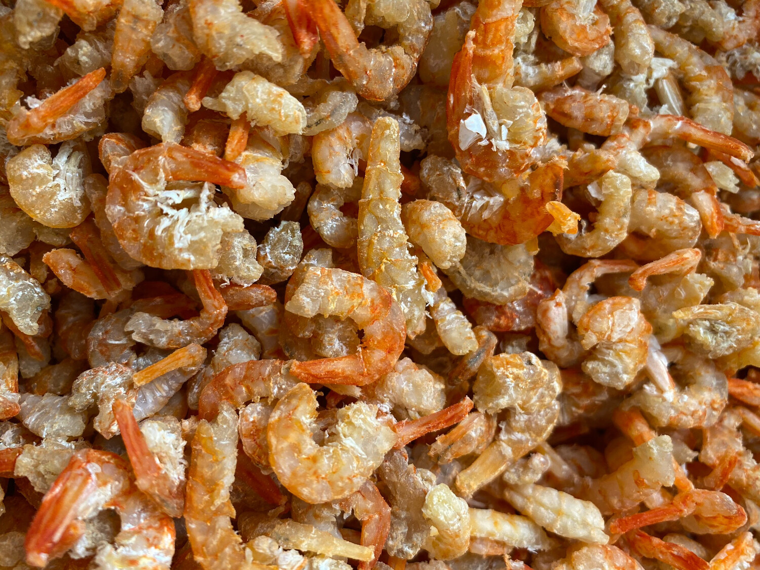 Dried Shrimp 靓泰国虾米 中号