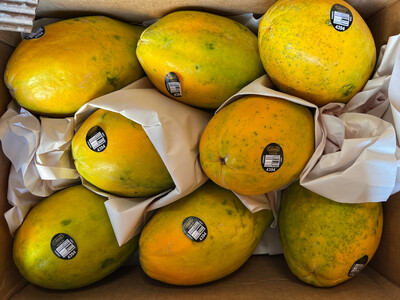 Hawaii Papaya 清甜夏威夷木瓜 一箱（8粒）$38.99/箱