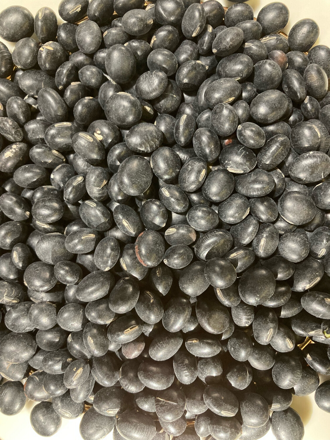 Black Bean 黑豆16oz