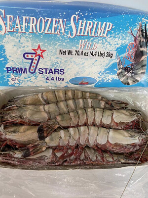 Prim7stars Wild Tiger Shrimp 特大野生澳洲老虎虾(4只左右一磅） $26.99/磅