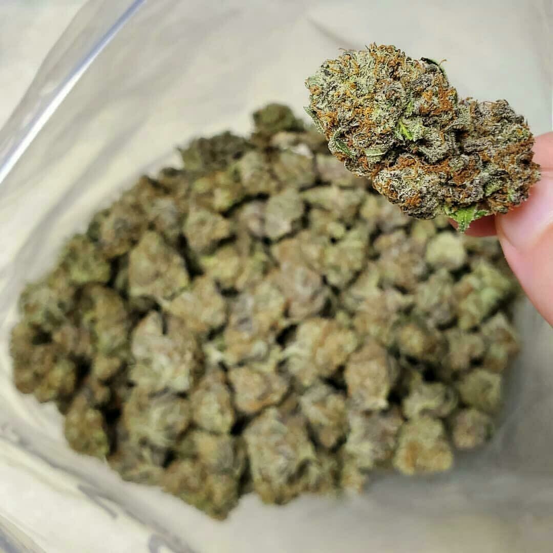 Gran daddy kush
