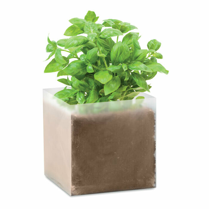Bolsita con semillas de albahaca