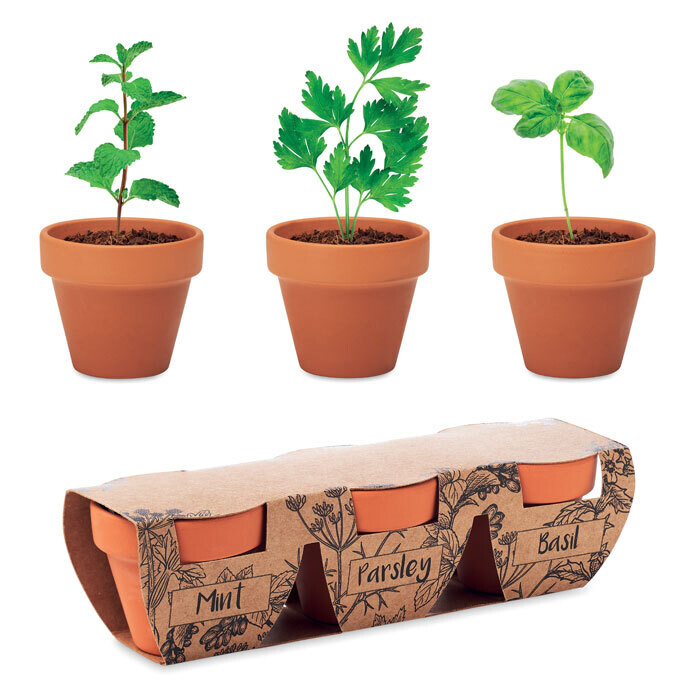 Juego de maceta de terracota