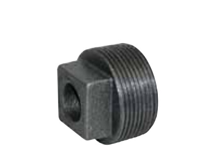 Plug 1 1/2" Male