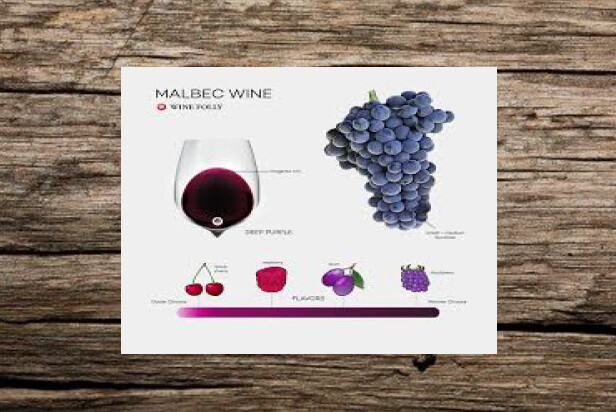 MALBEC