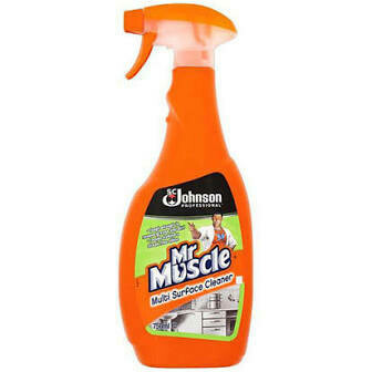 MR MUSCLE MULTI SURFACE CLEANER 750ML