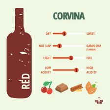 CORVINA