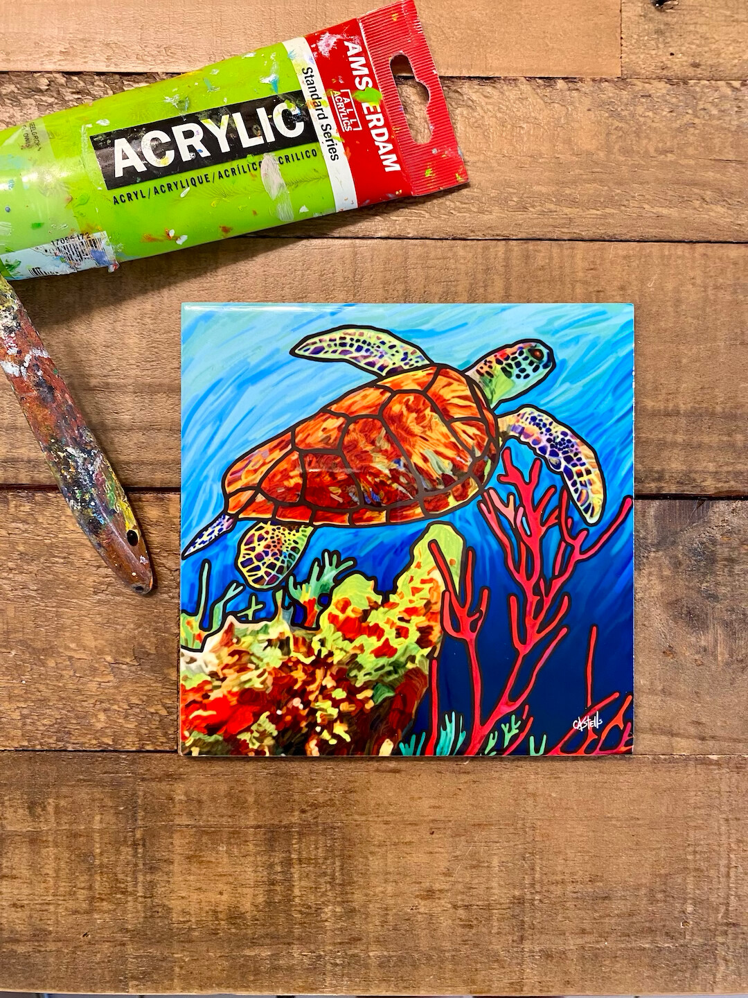 Tile &quot;Tortuga&quot;