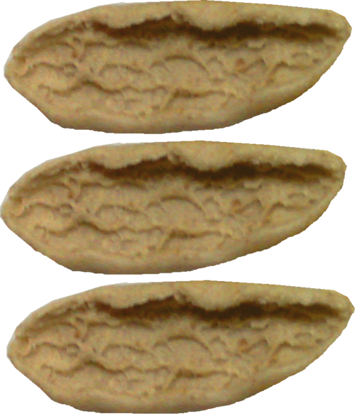 Pasta secca artigianale(3 conf. da 500 grammi) Pasta secca artigianale(3 conf. da 500 grammi)
