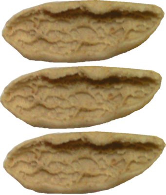 Pasta secca artigianale(3 conf. da 500 grammi)