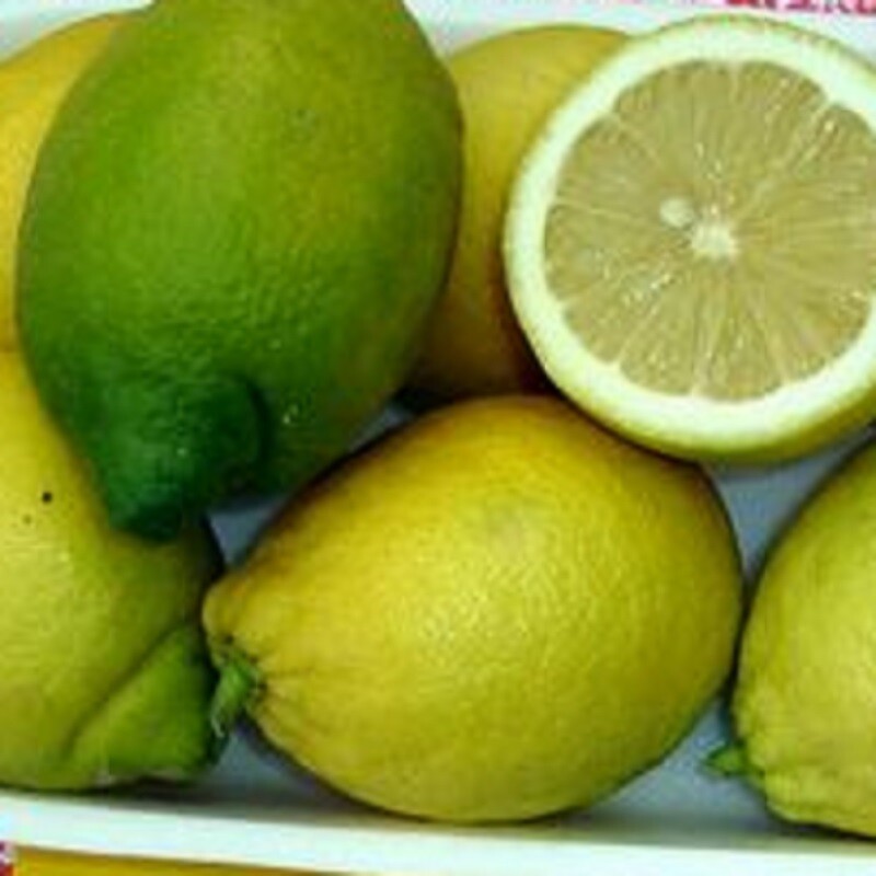 5-kg di Limoni IGP
