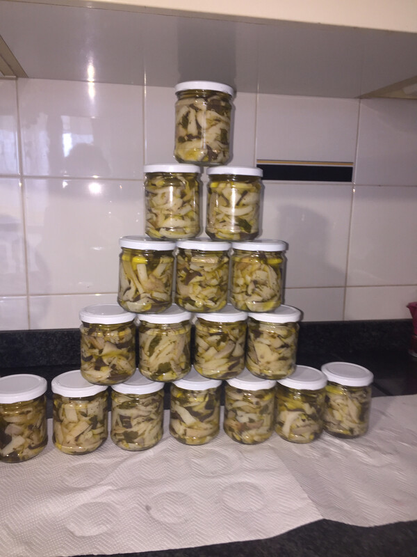 N° 3 vasetti di Cardoncelli sott'olio con olio Evo Bio(clicca qui) N° 3 vasetti di Cardoncelli sott'olio con olio Evo Bio(clicca qui)