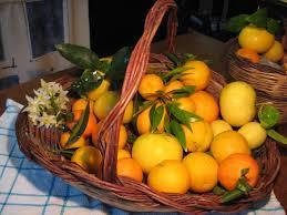 Arance e Limoni - 5 kg