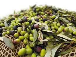 Olio extra vergine d'oliva biologico
