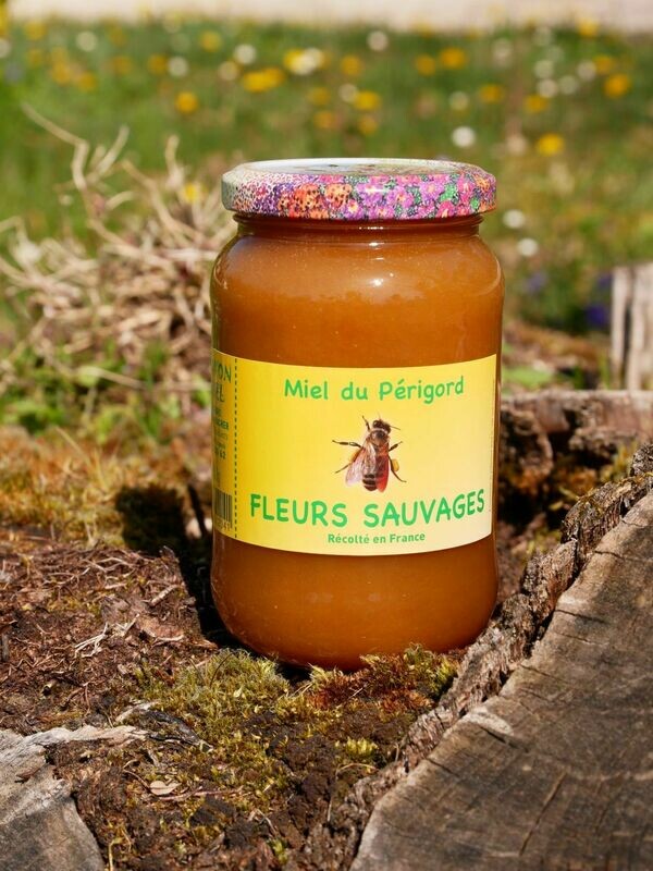 Miel de Fleurs Sauvages 500gr