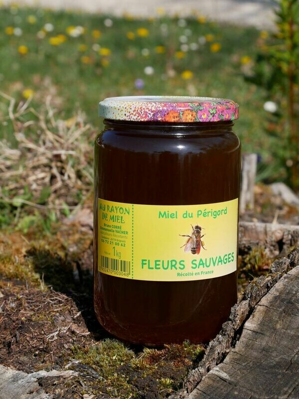 Miel de Fleurs Sauvages Kg