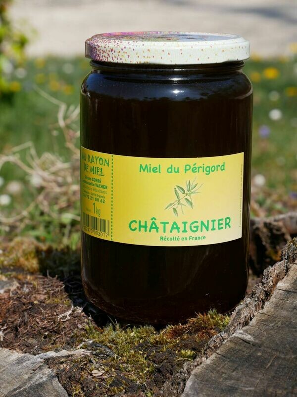 Miel de Châtaignier Kg