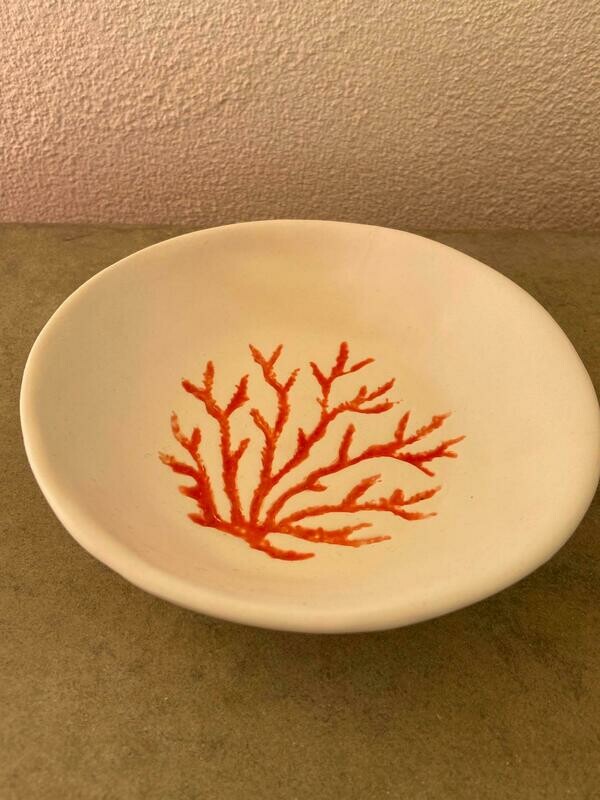 Plate Medium