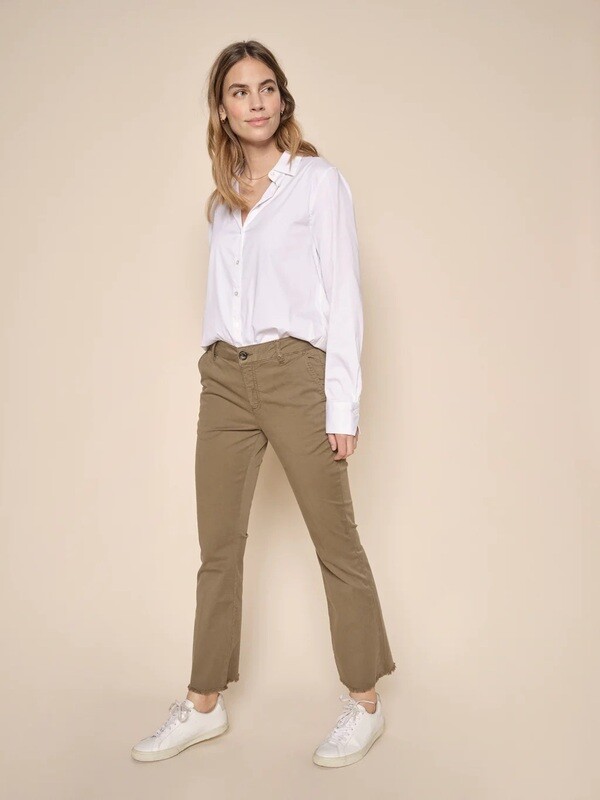 Cotton Chino