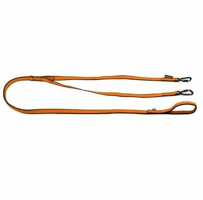 Non-stop Double Bungee Leash