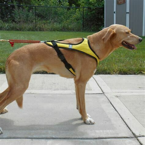 Howling Dog ToughSkin Harness ULTRA