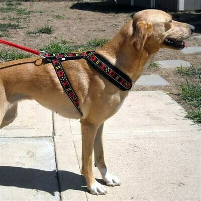 Howling Dog Distance Harness