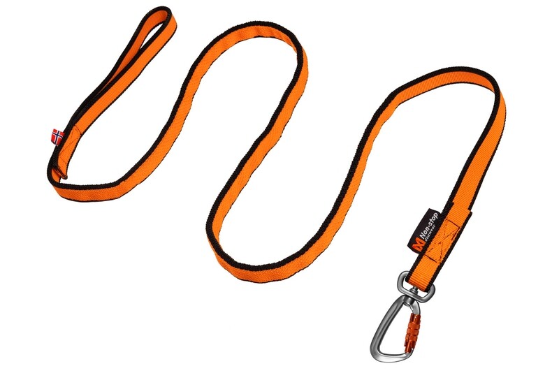 Non-stop Bungee Leash 2.0