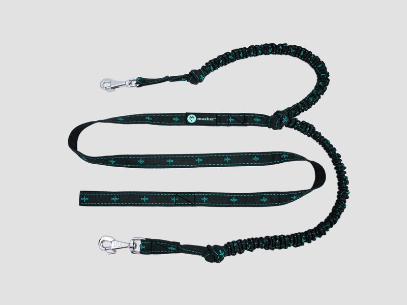 musher ANVIK Bungee - 2 Dogs