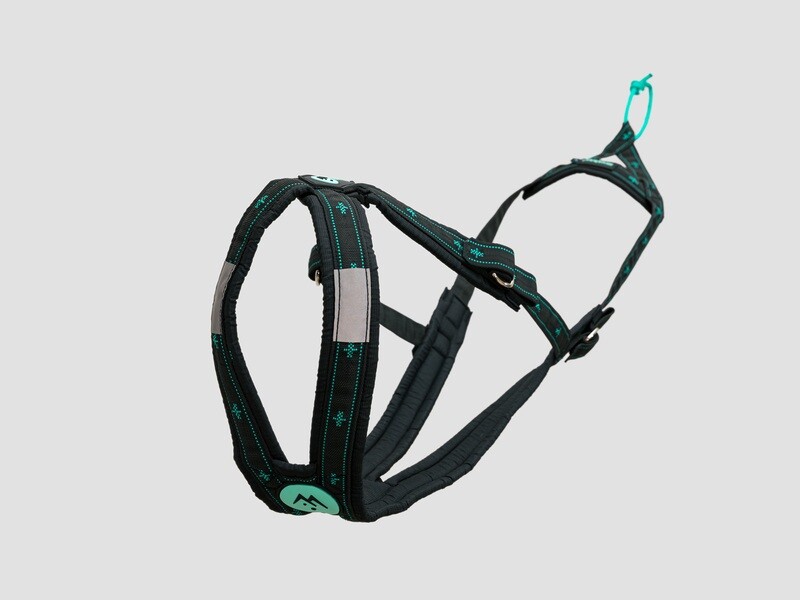 musher BALANCE Harness