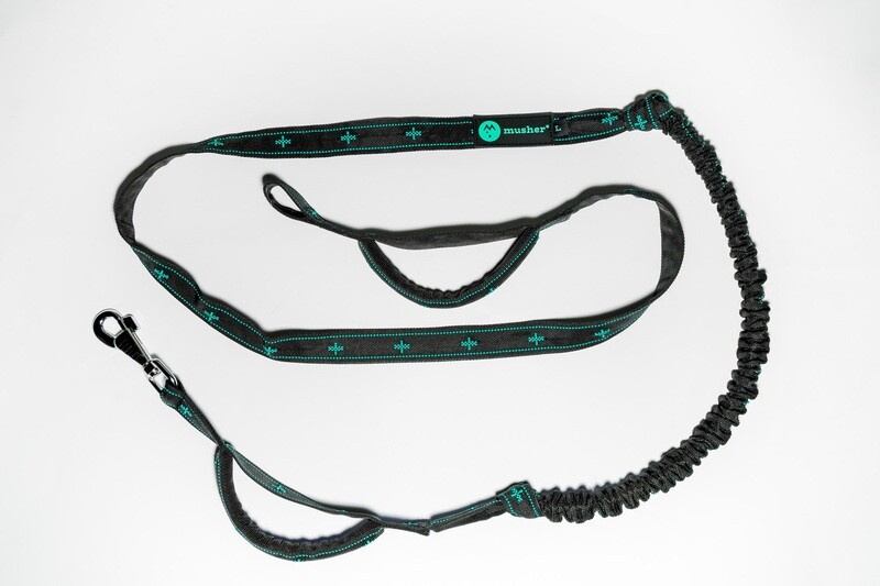 musher Anvik Bungee DT 